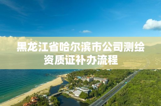 黑龍江省哈爾濱市公司測繪資質證補辦流程