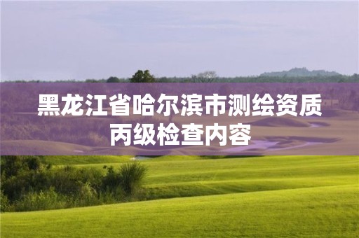 黑龍江省哈爾濱市測繪資質(zhì)丙級檢查內(nèi)容