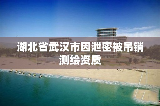 湖北省武漢市因泄密被吊銷測繪資質