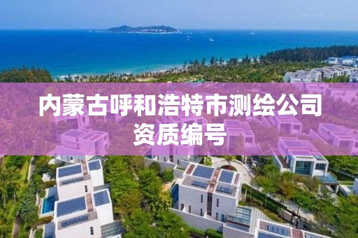 內蒙古呼和浩特市測繪公司資質編號