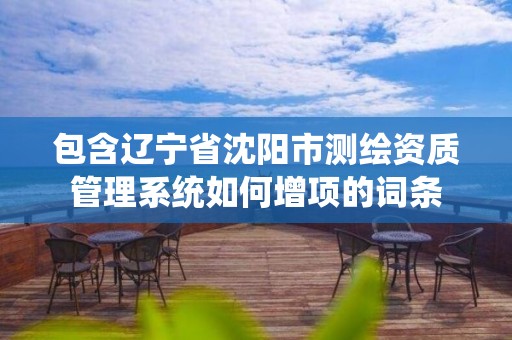 包含遼寧省沈陽市測繪資質管理系統如何增項的詞條