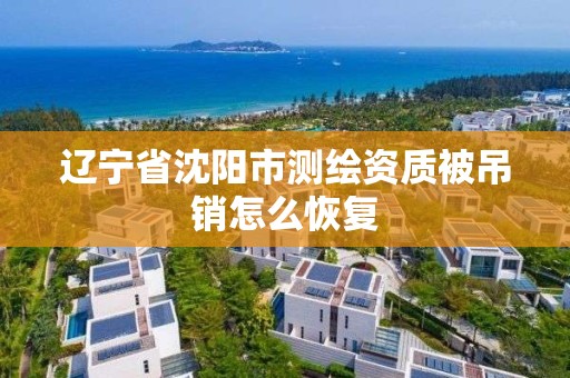 遼寧省沈陽市測繪資質被吊銷怎么恢復