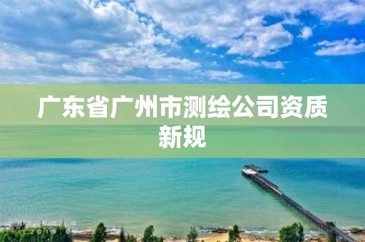 廣東省廣州市測繪公司資質(zhì)新規(guī)