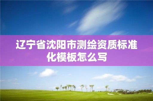 遼寧省沈陽市測繪資質標準化模板怎么寫