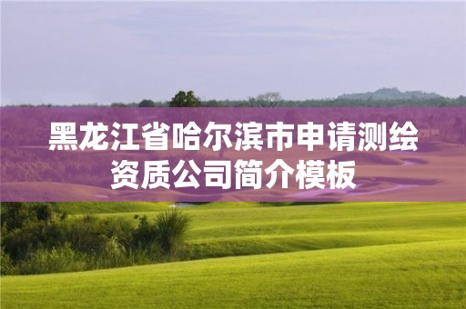 黑龍江省哈爾濱市申請測繪資質公司簡介模板