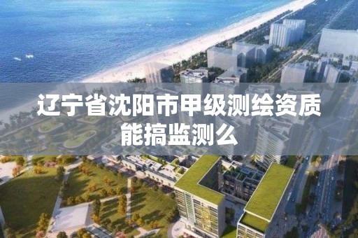 遼寧省沈陽市甲級測繪資質能搞監測么