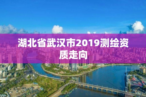 湖北省武漢市2019測繪資質(zhì)走向