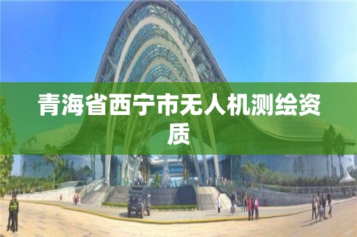 青海省西寧市無人機測繪資質