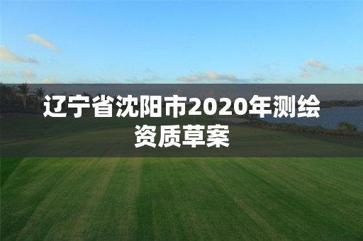 遼寧省沈陽市2020年測繪資質草案