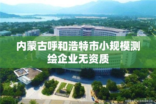 內蒙古呼和浩特市小規模測繪企業無資質