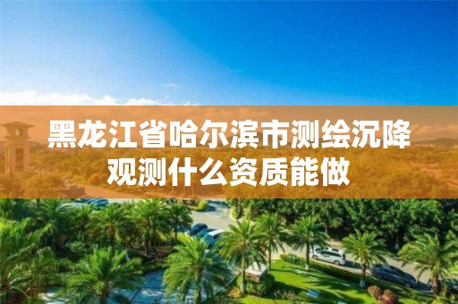 黑龍江省哈爾濱市測繪沉降觀測什么資質能做