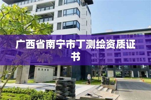 廣西省南寧市丁測(cè)繪資質(zhì)證書