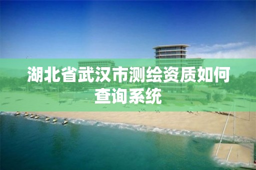 湖北省武漢市測繪資質如何查詢系統