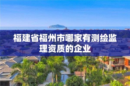 福建省福州市哪家有測繪監理資質的企業