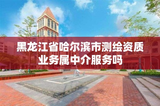 黑龍江省哈爾濱市測繪資質業務屬中介服務嗎