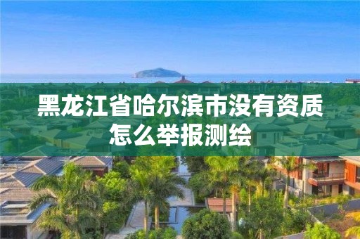 黑龍江省哈爾濱市沒有資質怎么舉報測繪