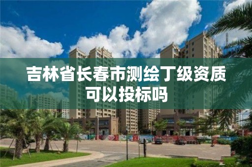 吉林省長春市測繪丁級資質可以投標嗎