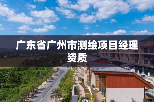 廣東省廣州市測繪項目經理資質