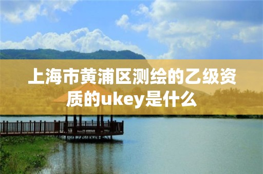 上海市黃浦區測繪的乙級資質的ukey是什么