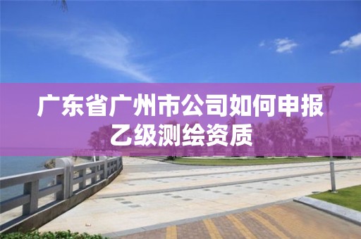 廣東省廣州市公司如何申報乙級測繪資質