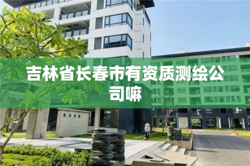 吉林省長春市有資質(zhì)測繪公司嘛