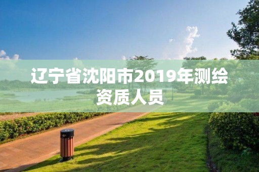 遼寧省沈陽市2019年測繪資質人員