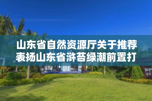 山東省自然資源廳關于推薦表揚山東省滸苔綠潮前置打撈突出集體和個人的通知