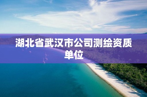 湖北省武漢市公司測繪資質單位