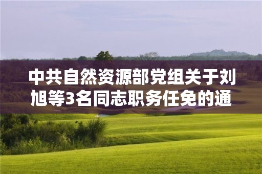 中共自然資源部黨組關于劉旭等3名同志職務任免的通知