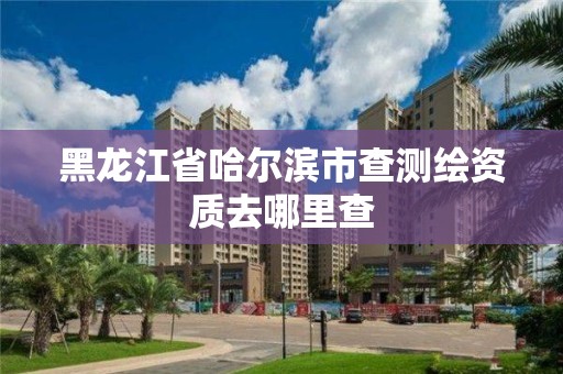 黑龍江省哈爾濱市查測繪資質去哪里查