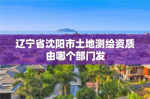 遼寧省沈陽市土地測繪資質由哪個部門發