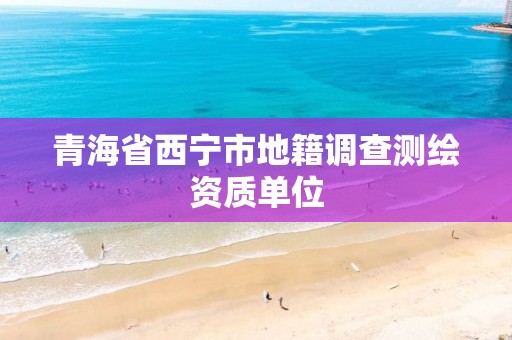 青海省西寧市地籍調查測繪資質單位