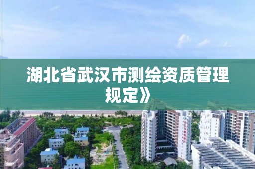 湖北省武漢市測繪資質管理規定》