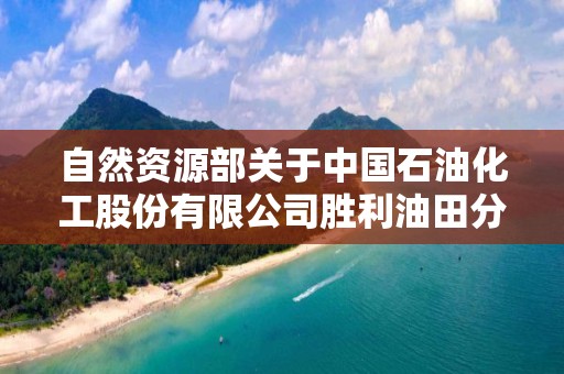 自然資源部關于中國石油化工股份有限公司勝利油田分公司臨盤采油廠山東渤海灣盆地臨58-109區塊石油開采項目等7個礦山地質環境保護與土地復墾方案通過審查的公告