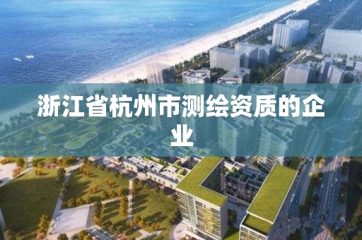 浙江省杭州市測繪資質(zhì)的企業(yè)