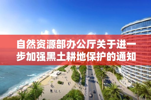 自然資源部辦公廳關于進一步加強黑土耕地保護的通知