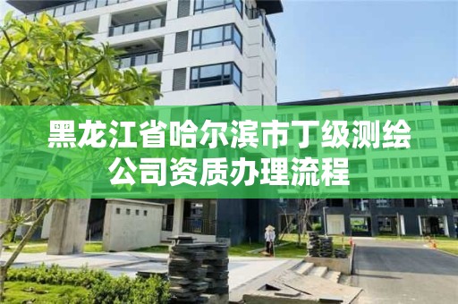 黑龍江省哈爾濱市丁級測繪公司資質辦理流程