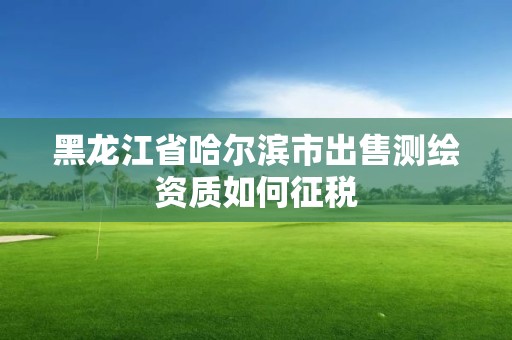 黑龍江省哈爾濱市出售測繪資質如何征稅