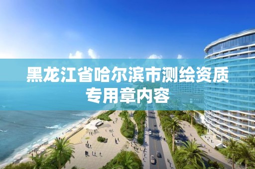 黑龍江省哈爾濱市測繪資質專用章內容