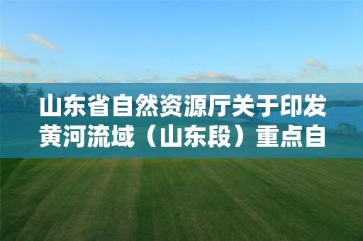 山東省自然資源廳關于印發黃河流域（山東段）重點自然資源統一確權登記工作方案的通知