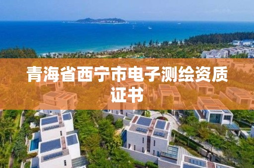 青海省西寧市電子測繪資質證書