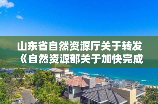 山東省自然資源廳關于轉發《自然資源部關于加快完成集體土地所有權確權登記成果更新匯交的通知》的通知