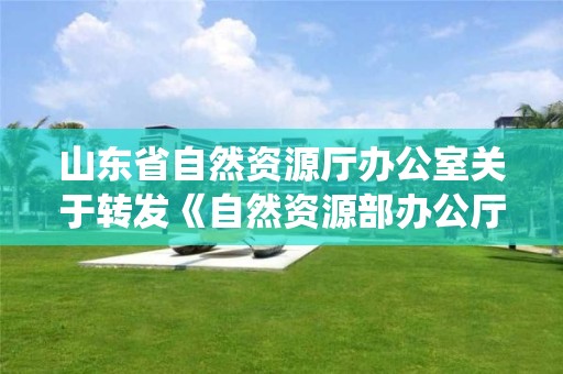 山東省自然資源廳辦公室關于轉發《自然資源部辦公廳關于做好2021年度非油氣礦產資源開發利用統計工作的通知》的通知