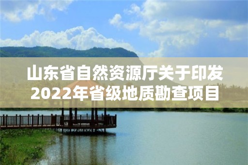 山東省自然資源廳關(guān)于印發(fā)2022年省級地質(zhì)勘查項目立項指南的通知