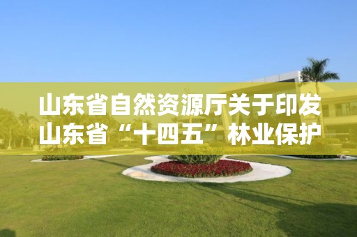 山東省自然資源廳關于印發山東省“十四五”林業保護發展規劃的通知