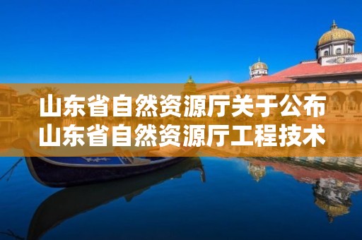 山東省自然資源廳關于公布山東省自然資源廳工程技術職務資格中初級評審委員會2021年度評審結果的通知