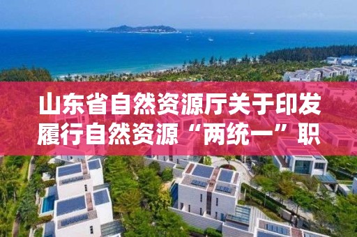 山東省自然資源廳關于印發履行自然資源“兩統一”職責服務保障高質量發展政策清單（海洋領域類）的通知