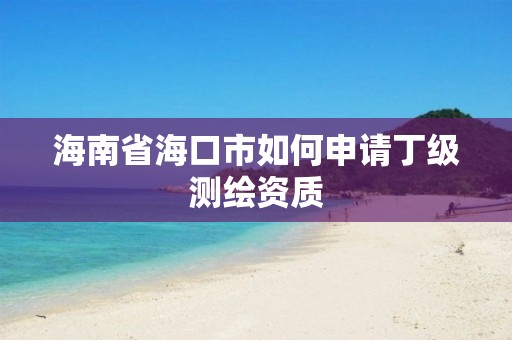 海南省海口市如何申請丁級測繪資質(zhì)