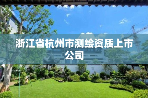 浙江省杭州市測繪資質(zhì)上市公司