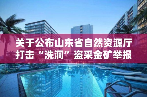 關于公布山東省自然資源廳打擊“洗洞”盜采金礦舉報方式的公告